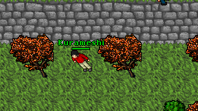 Kurameshi on screen