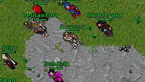 Ravons on screen