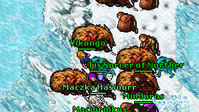 Vikongo on screen