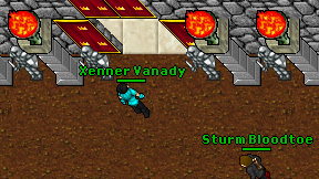 Xenner Vanady on screen