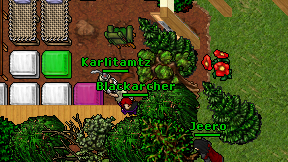 Karlitamtz on screen