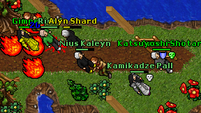 Nius Kaleyn on screen