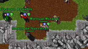 Wirtual Wizard on screen