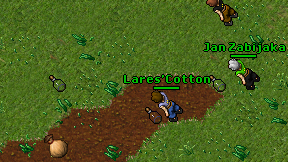 Lares'Cotton on screen