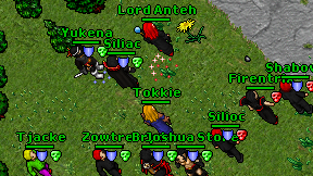 Tokkie on screen