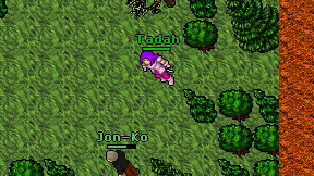 Tadah on screen