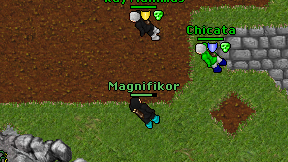 Magnifikor on screen
