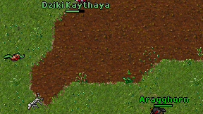 Dziki Kaythaya on screen