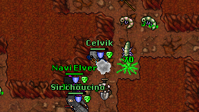 Celvik on screen