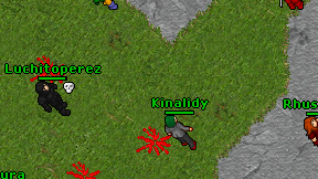 Kinalidy on screen