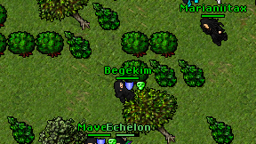 Begekim on screen