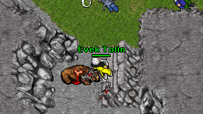 Evek Tolin on screen