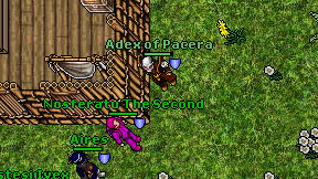 Adex of Pacera on screen