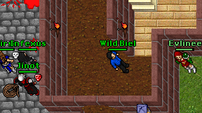 Wild Biel on screen