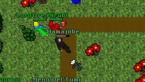 Hamajobe on screen