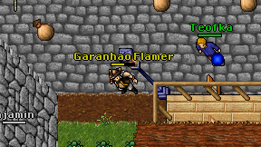 Garanhao Flamer on screen
