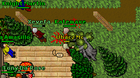 Katemaxe on screen