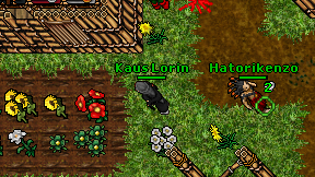 Kaus Lorin on screen