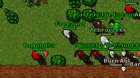 Freezant on screen