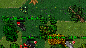 Excalibour Soldat on screen
