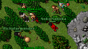 Soko Naboka on screen