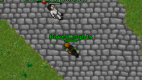 Pavel Knights on screen