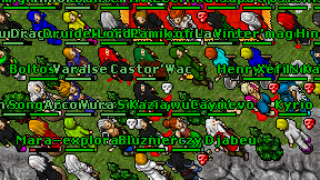 Castor'Wac on screen