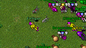 Feligar on screen