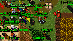 Cztery Kyuubi on screen
