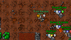 Trichsion on screen