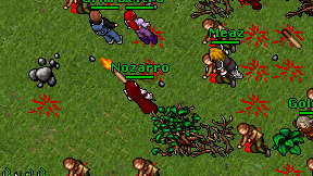 Nozarro on screen