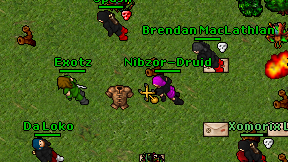 Nibzor-Druid on screen