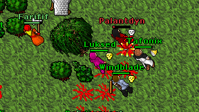 Luksed on screen