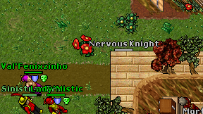 Nervous Knight on screen