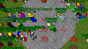Koody on screen