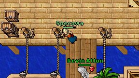 Specowa on screen