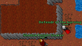 Shadow Knight Snaker on screen