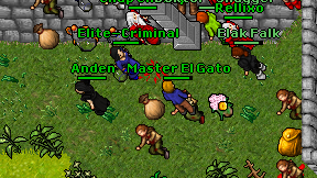 Master El Gato on screen