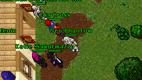 Neo'Phantom on screen