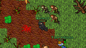 Keleff on screen