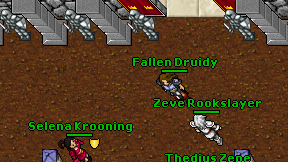Fallen Druidy on screen