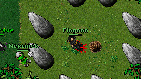 Fingonn on screen