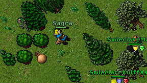 Sagra on screen