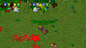 Kimux Ragui on screen