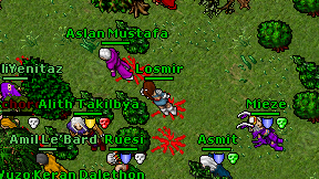 Losmir on screen