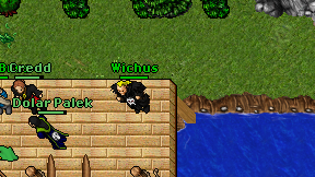 Wichus on screen