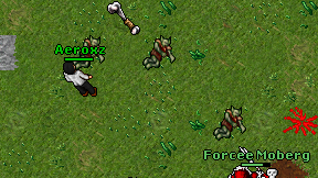 Aeroxz on screen