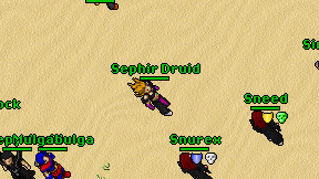 Sephir Druid on screen