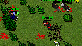 Suxivi on screen