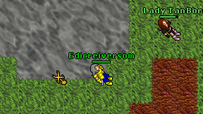 Edicreiversom on screen